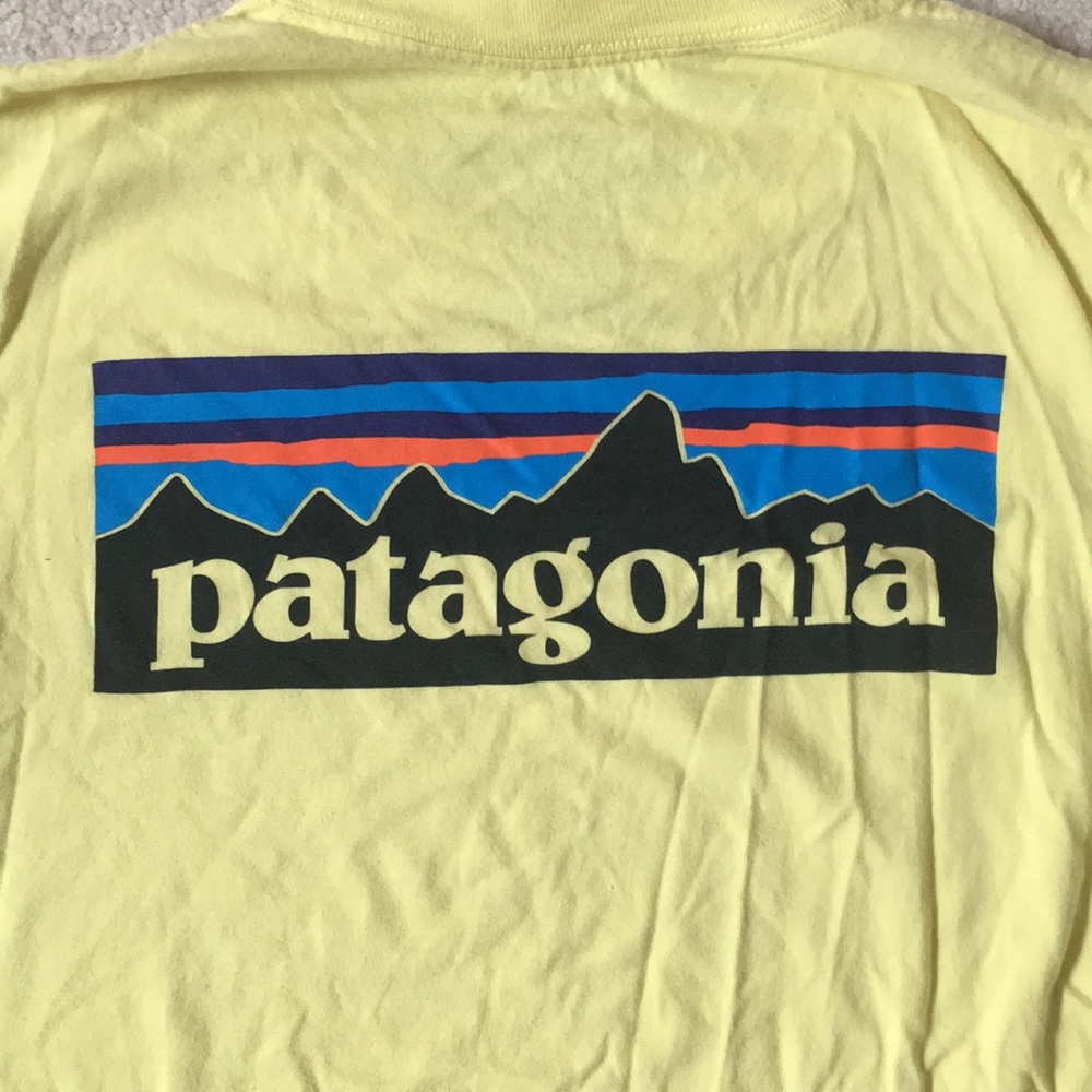 patagonia t-shirt